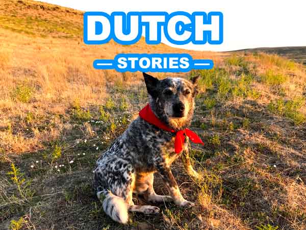 STOPSTU STORIES DUTCH