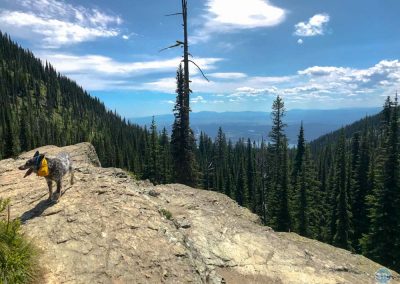 Dutch at White Fish Mountain, Montana