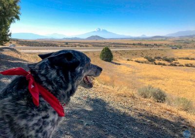 Dutch above of Shasta Peak, California