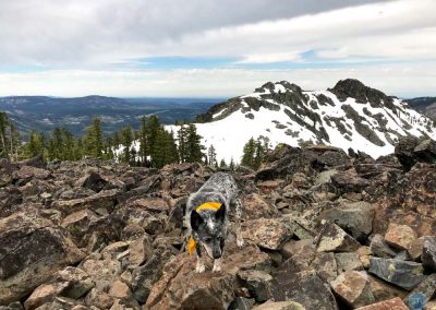 Dutch at Black Buttes, Grouse Ridge, California