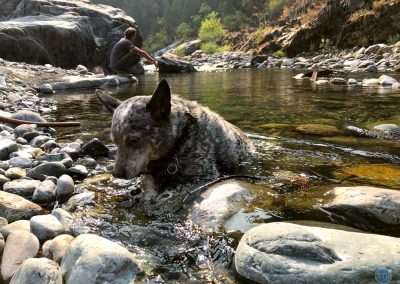 Dutch in North Fork American River near Alta, CA