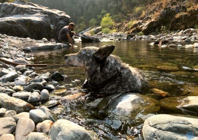 Dutch in North Fork American River near Alta, CA