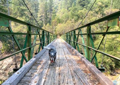Dutch in North Fork American River near Euchre Bar, CA