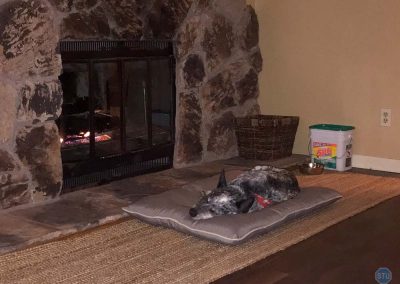 Dutch asleep beside fire in Nevada