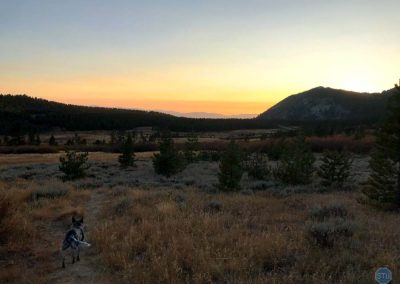 Dutch and Sunset near Mt. Rose Wilderness