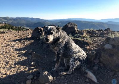 Dutch on Mt. Judah in California