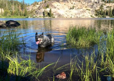 Dutch in Lake Angela, California