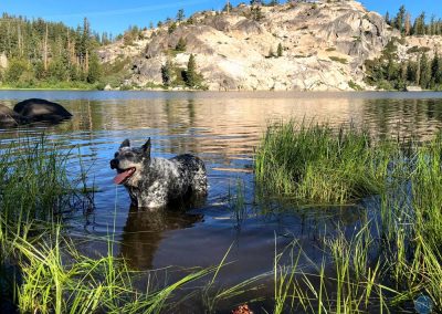 Dutch in Lake Angela, California