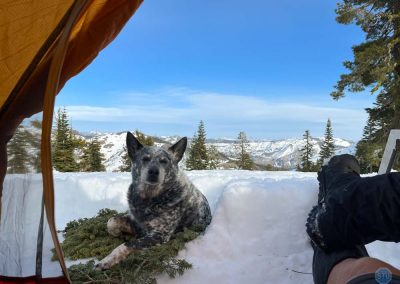 Dutch on Grouse Ridge, California