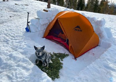 Dutch on Grouse Ridge, California