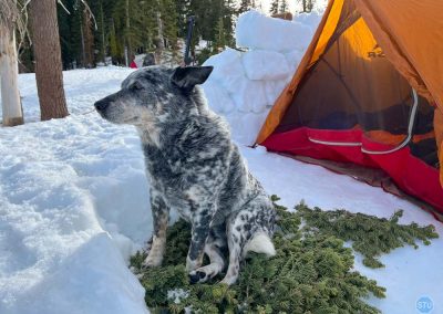 Dutch on Grouse Ridge, California