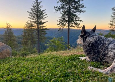 Dutch and sunrise near Forresthill, CA