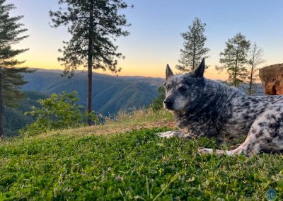 Dutch and sunrise near Forresthill, CA