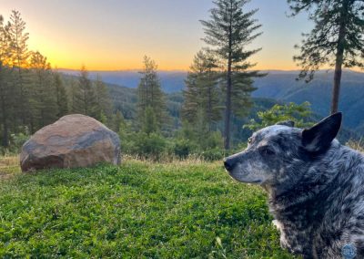 Dutch and sunrise near Forresthill, CA