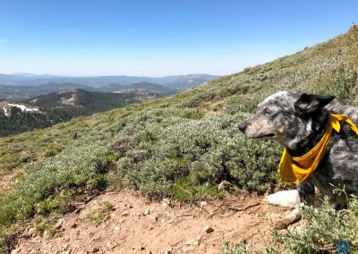Dutch at Castle Peaks, California