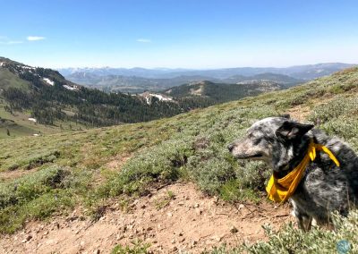 Dutch at Castle Peaks, California