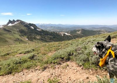 Dutch at Castle Peaks, California