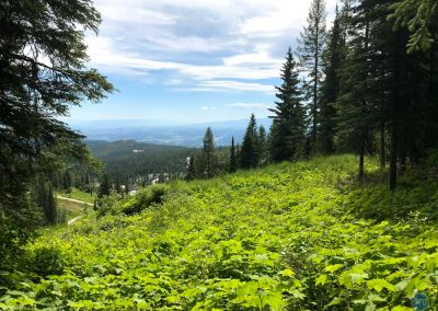 White Fish Mountain, Montana