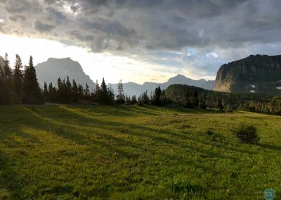 On Logan Pass, Glacier National Park, Montana