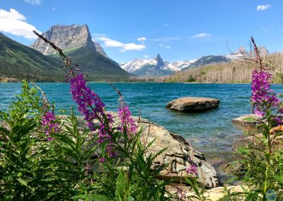 Fireweed Wildflowers near Saint Mary Lake in Glacier National Park, Montana via STOPSTU