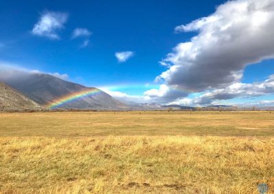 Rainbow near Minden, NV