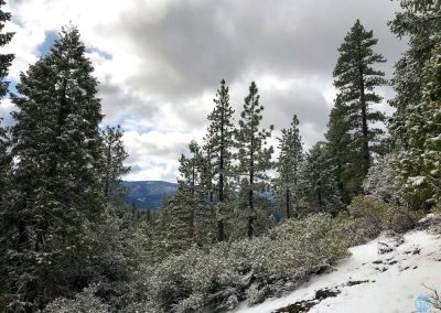 Quincy, CA