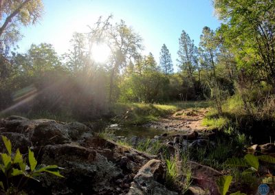 Salt Creek crossing along Olmstead Loop near Cool, CA